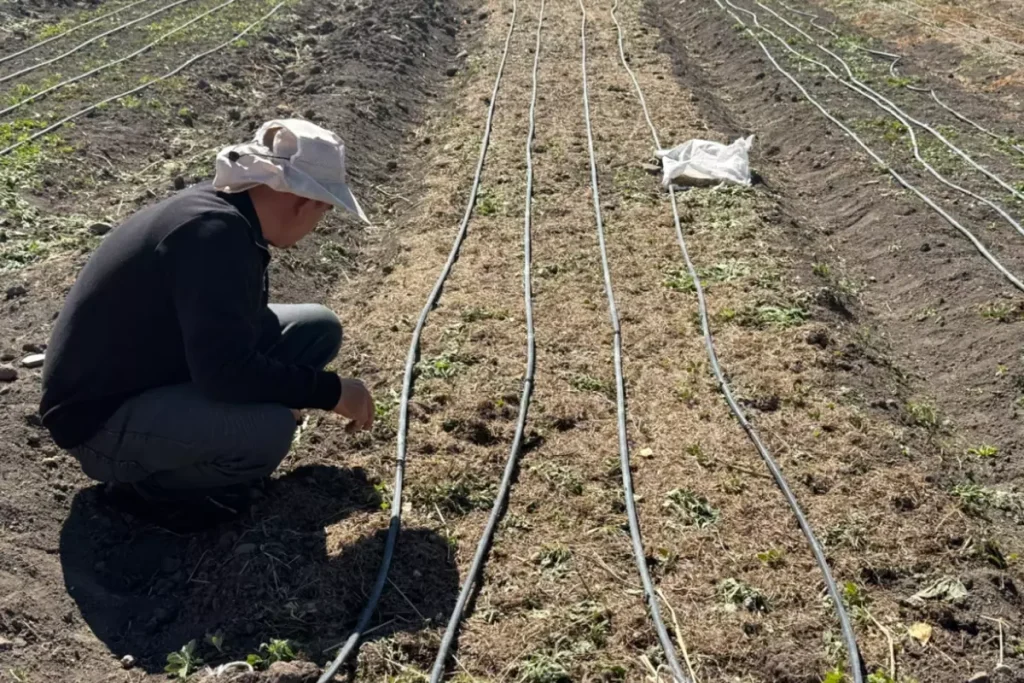 İşsiz Kalan Kadının Hayatı Değişti: 200 Kilosuna Ekti