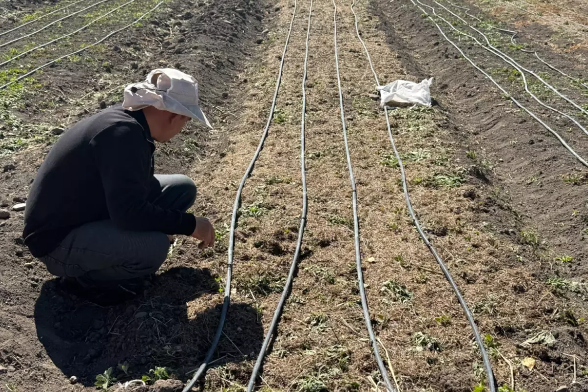 İşsiz Kalan Kadının Hayatı Değişti: 200 Kilosuna Ekti
