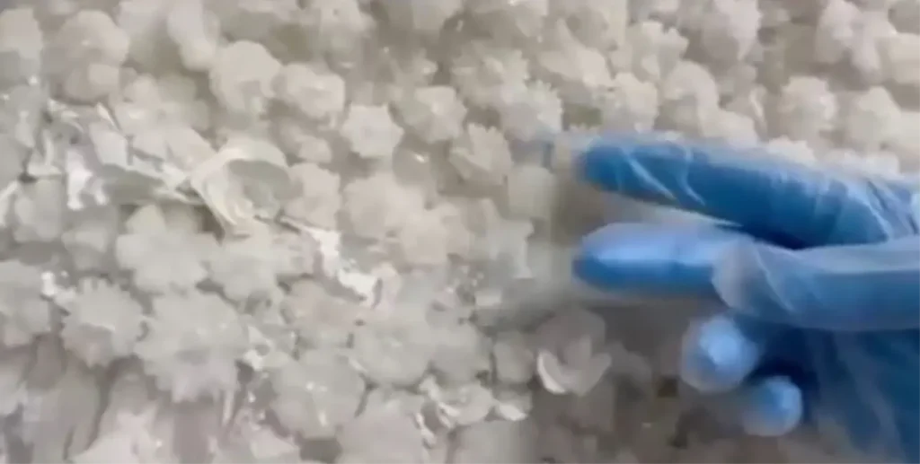 Uyuşturucu Trafiğinde Yeni Yöntem: Gelinlik Elbise