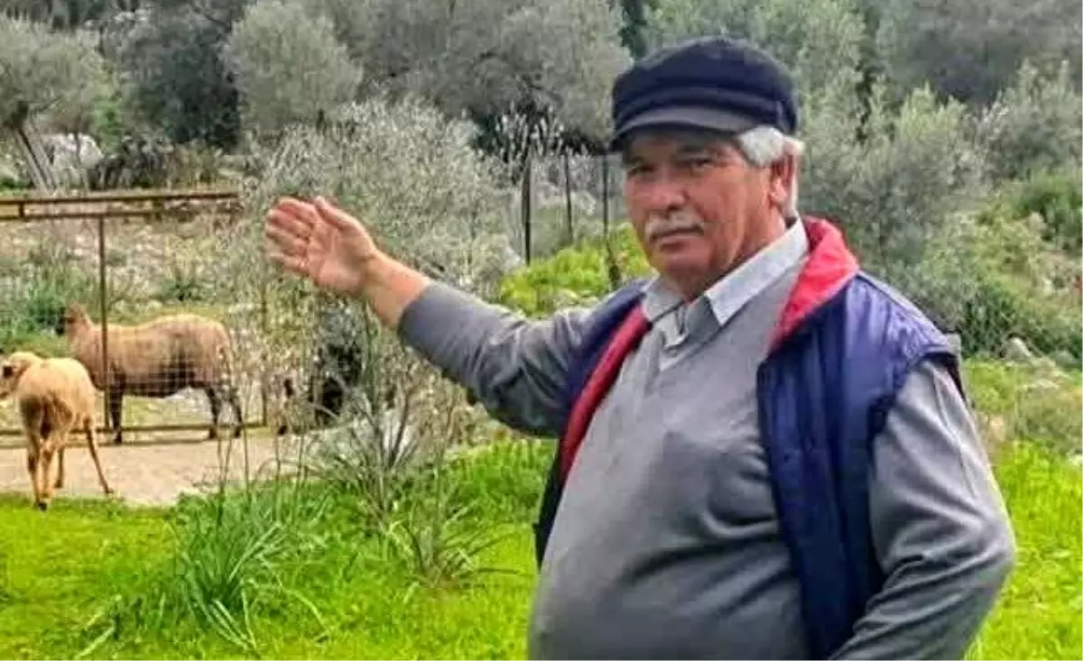 Muğla’da Av Partisi Trajediyle Sonuçlandı: Bir Kişi Hayatını Kaybetti