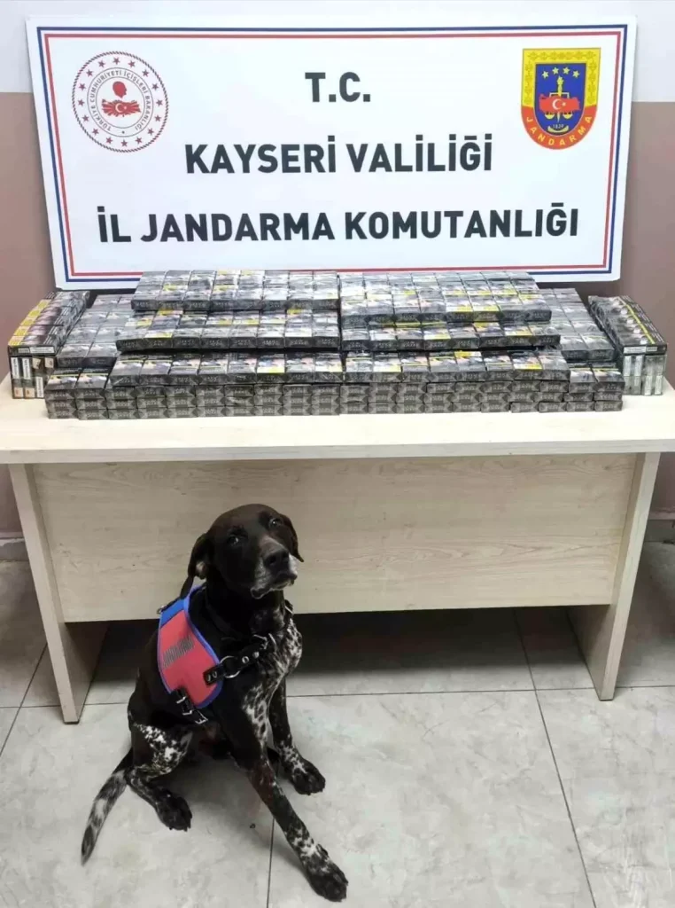 Kaçak Sigara Operasyonu: 560 Paket Ele Geçirildi