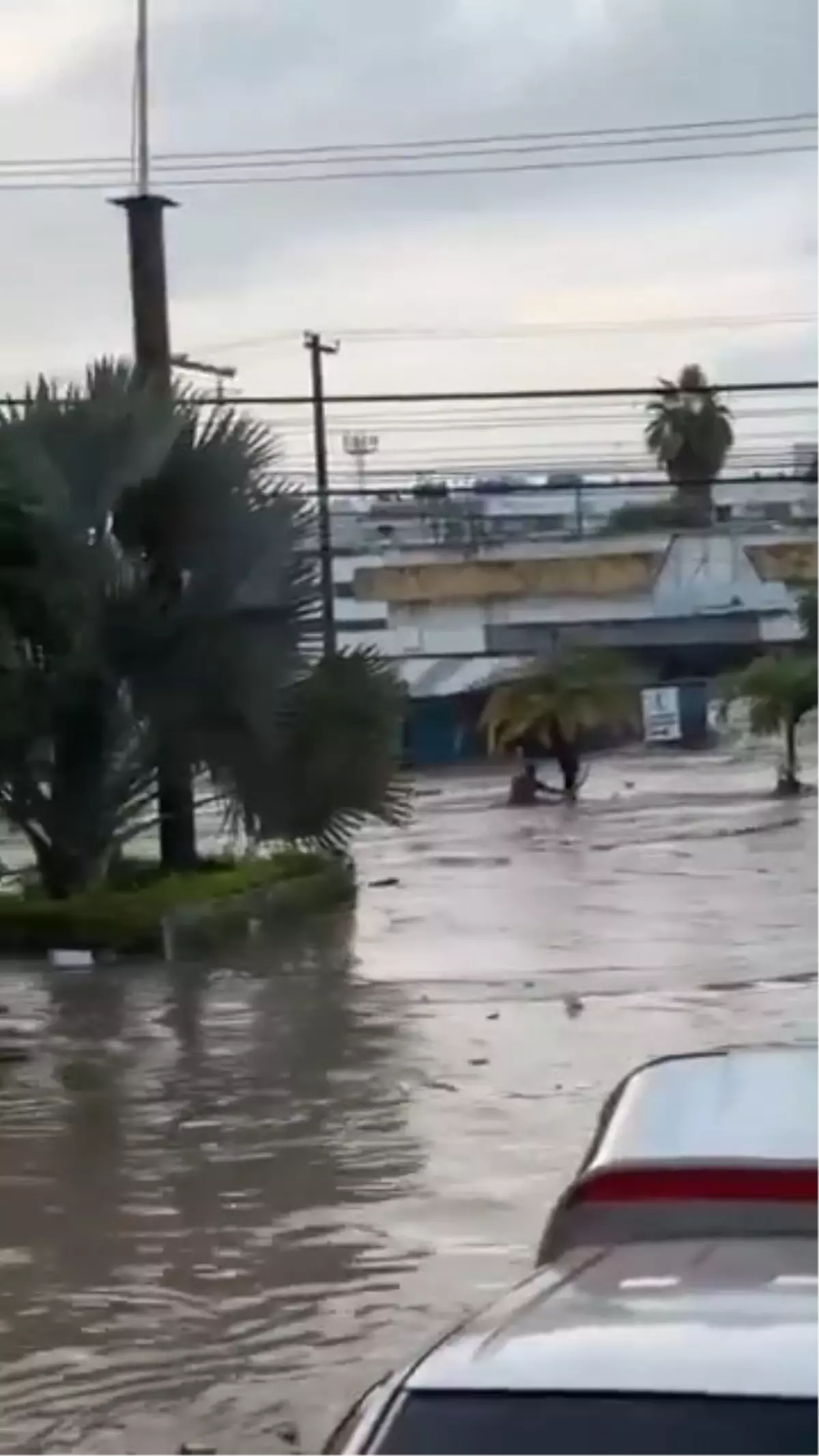 Meksika’yı Seller Vuruyor: 41 Kişi Hayatını Kaybetti