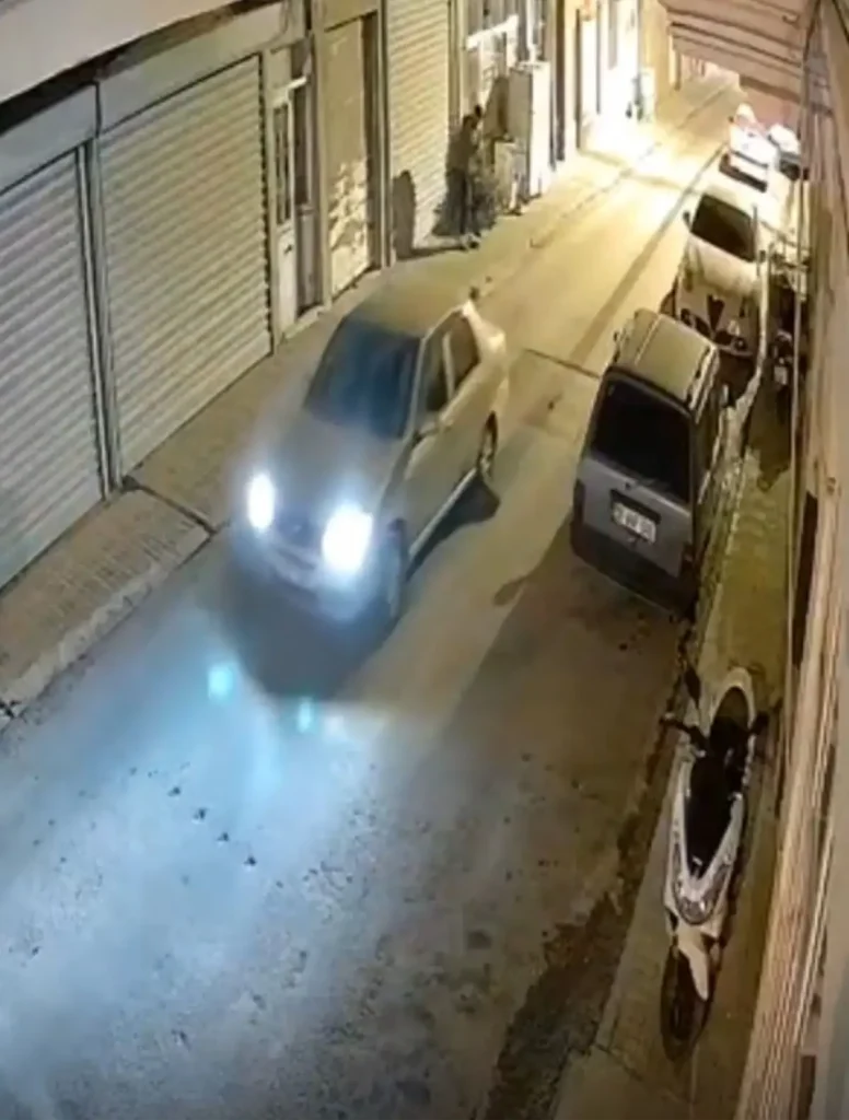 Oklu Kirpi Trajedi: Sürücü Sorumluluğunu İhmal Etti