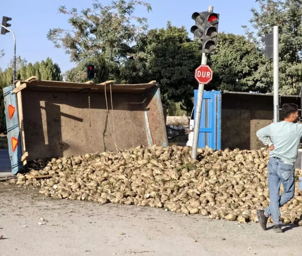 Muş’ta Şeker Pancarı Yüklü Traktör Devrildi