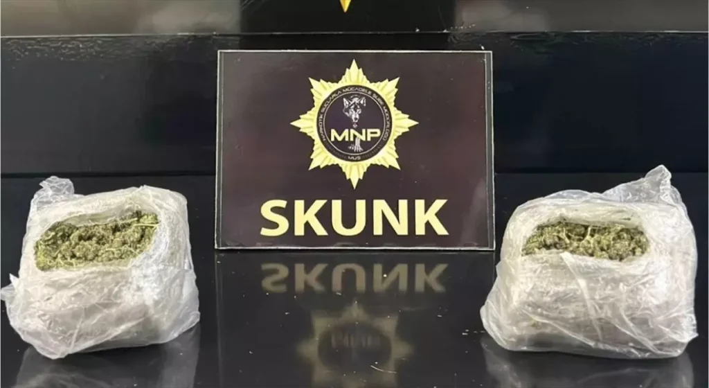 Uyuşturucu Operasyonunda 2 Şüpheli Tutuklandı