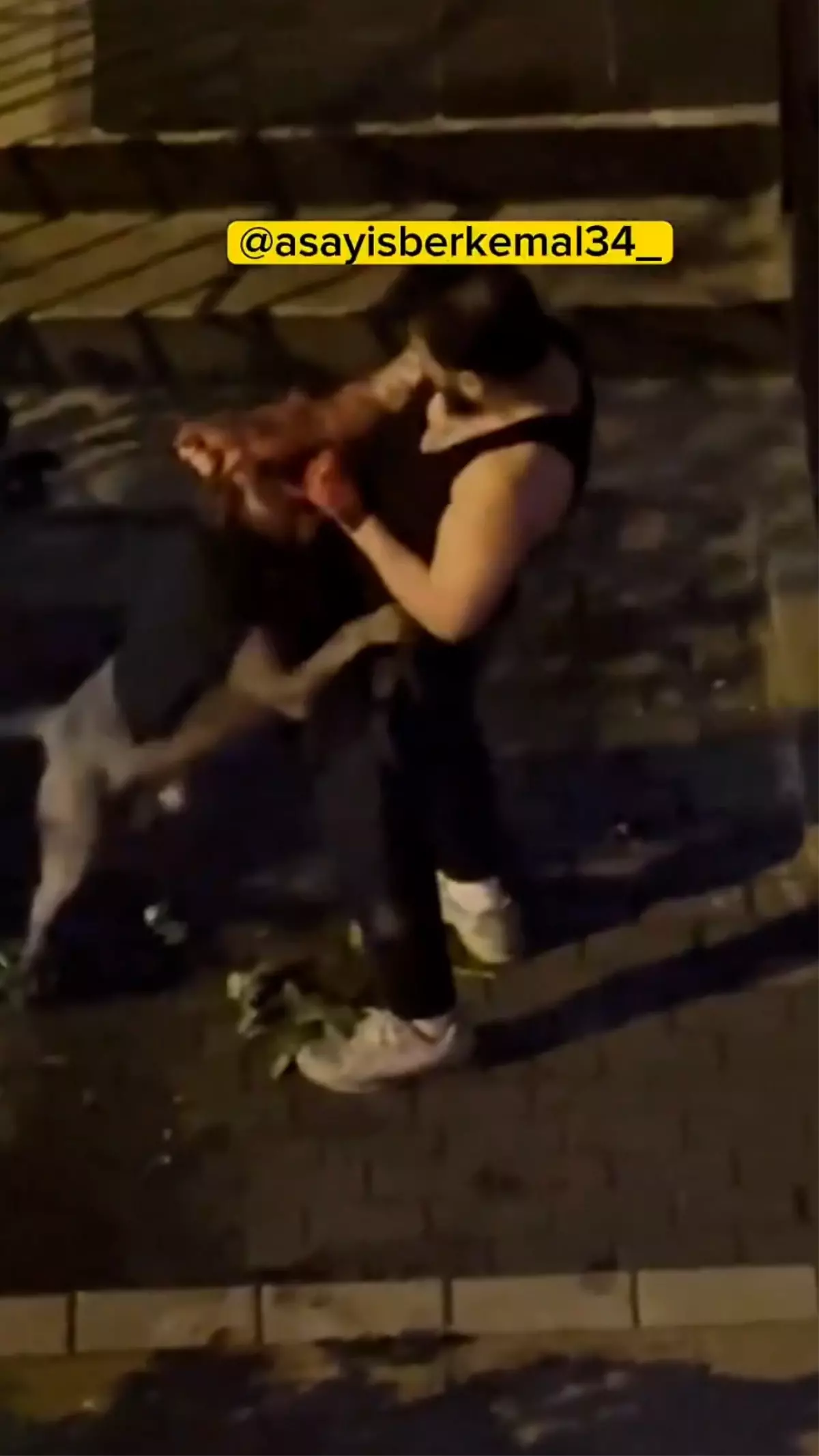 Pitbull Sahibine Saldırdı: Dehşet Anları Kamerada