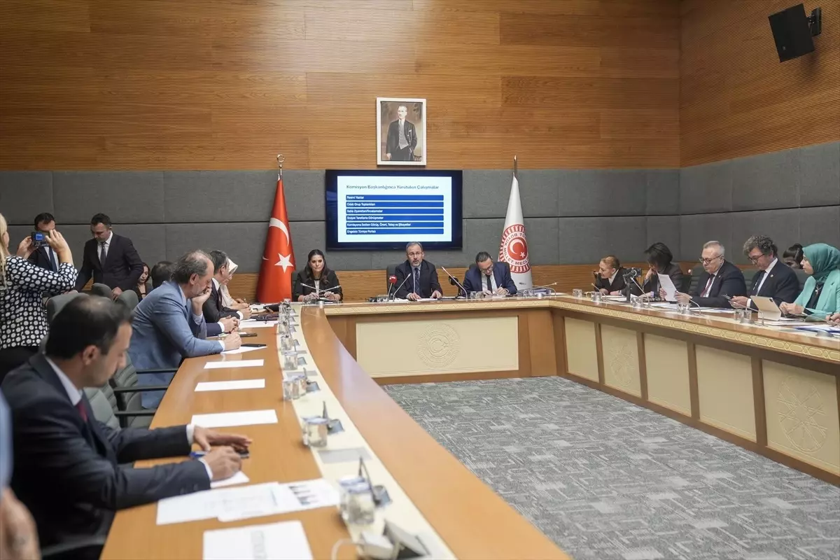 Engelli Bireylerin Sorunları Araştırma Komisyonu Çalışmaları Sürüyor