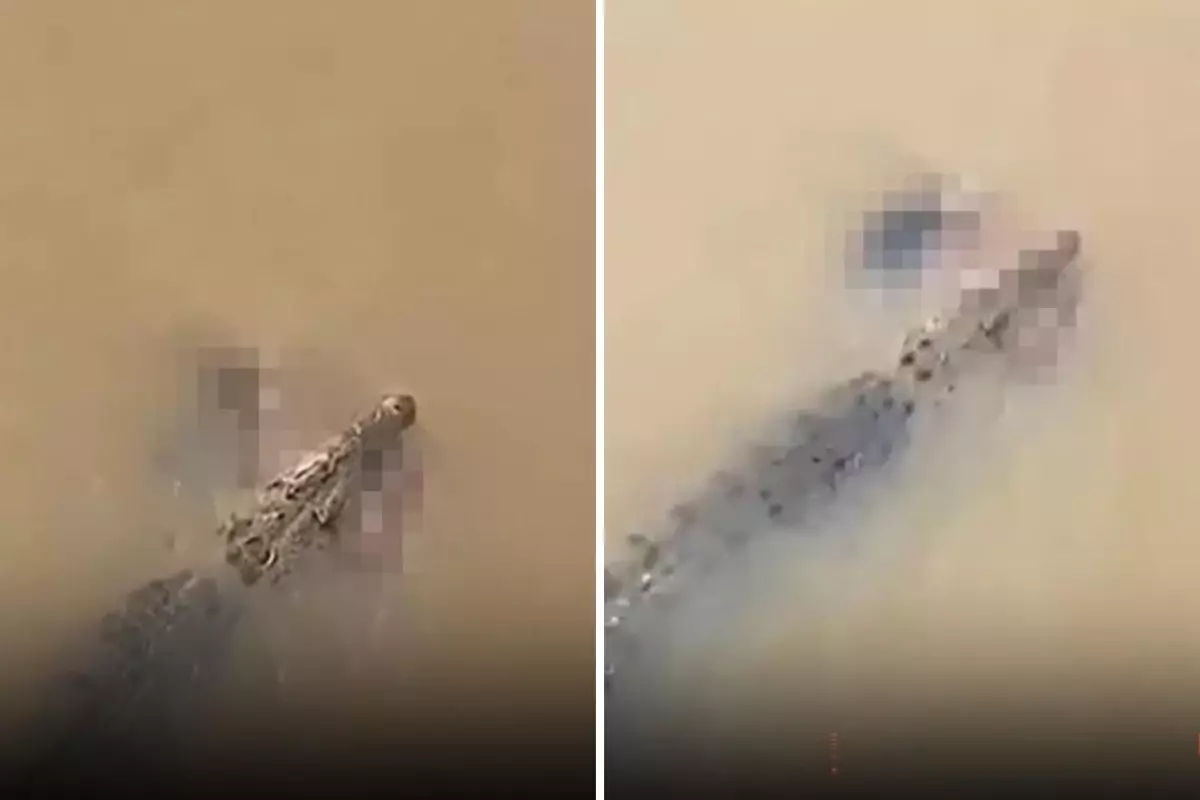 Timsahın Korkunç Saldırısı: Kadın Nehri’de Boğuldu