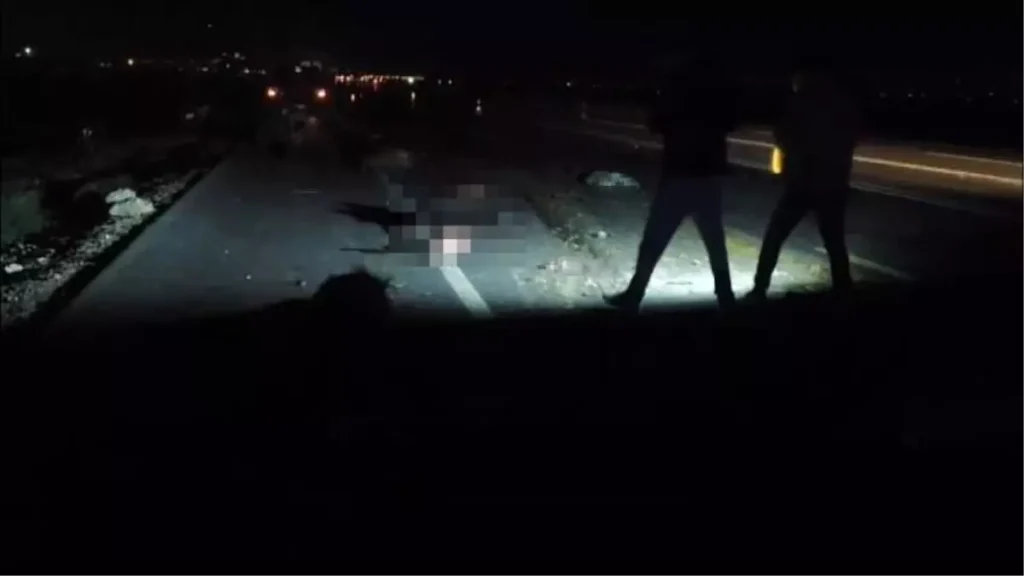 Hayvan Sürüsüne Tır ve Araç Çarptı: 37 Hayvan Öldü