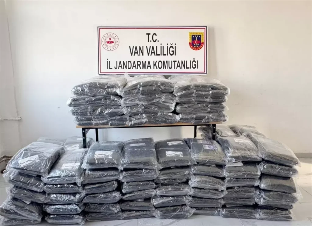 Van’da Gümrük Kaçağı Operasyonu: Bir Kişi Gözaltında