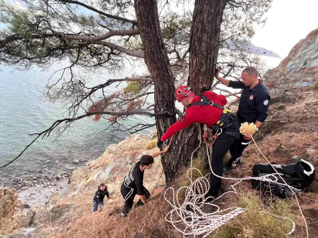 Muğla’da Yürüyüş Kazası: JAK ve UMKE Ekipleri İmdada Yetişti
