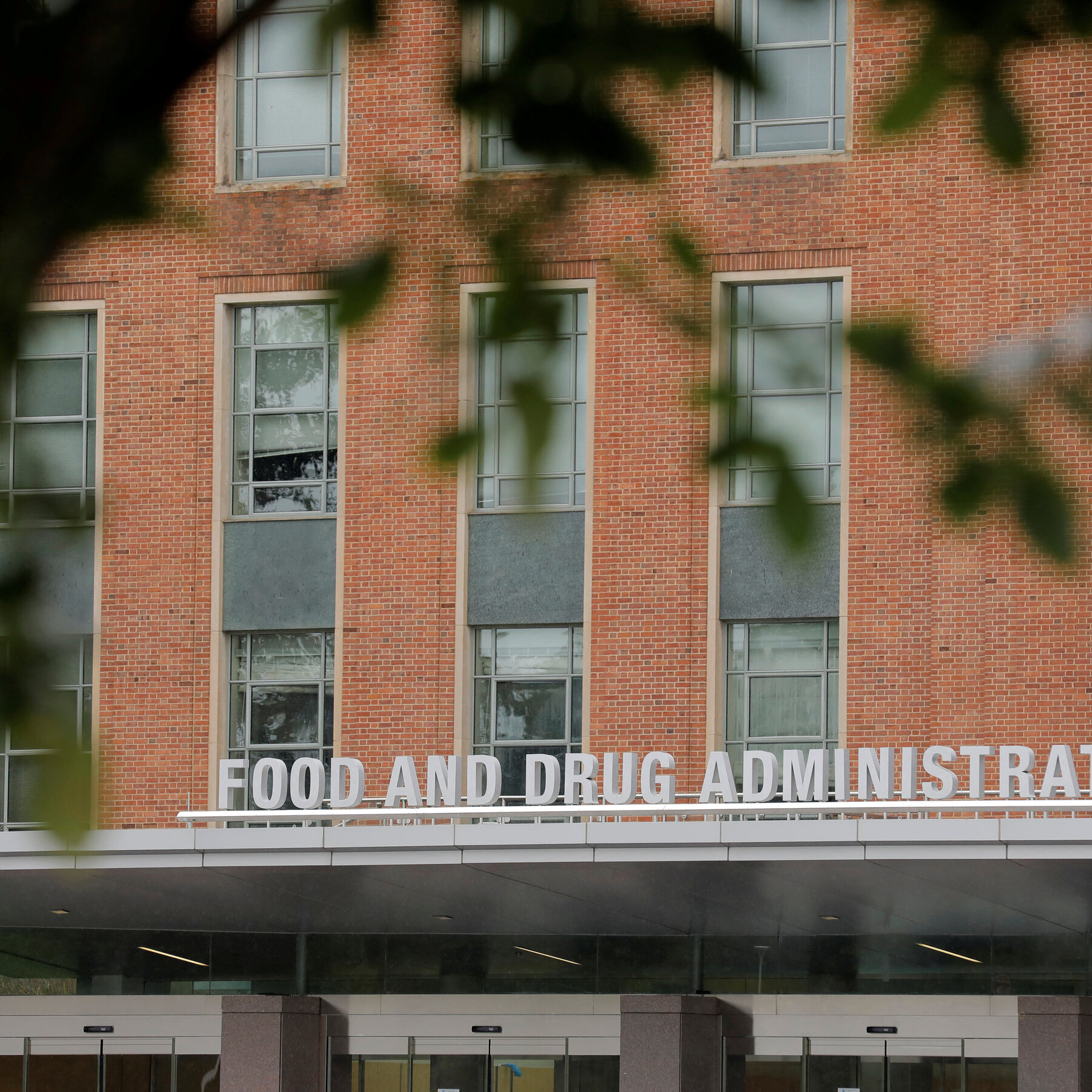 F.D.A. Drug Unit Chief Placed on Leave, Cites ‘Toxic’ Work Environment