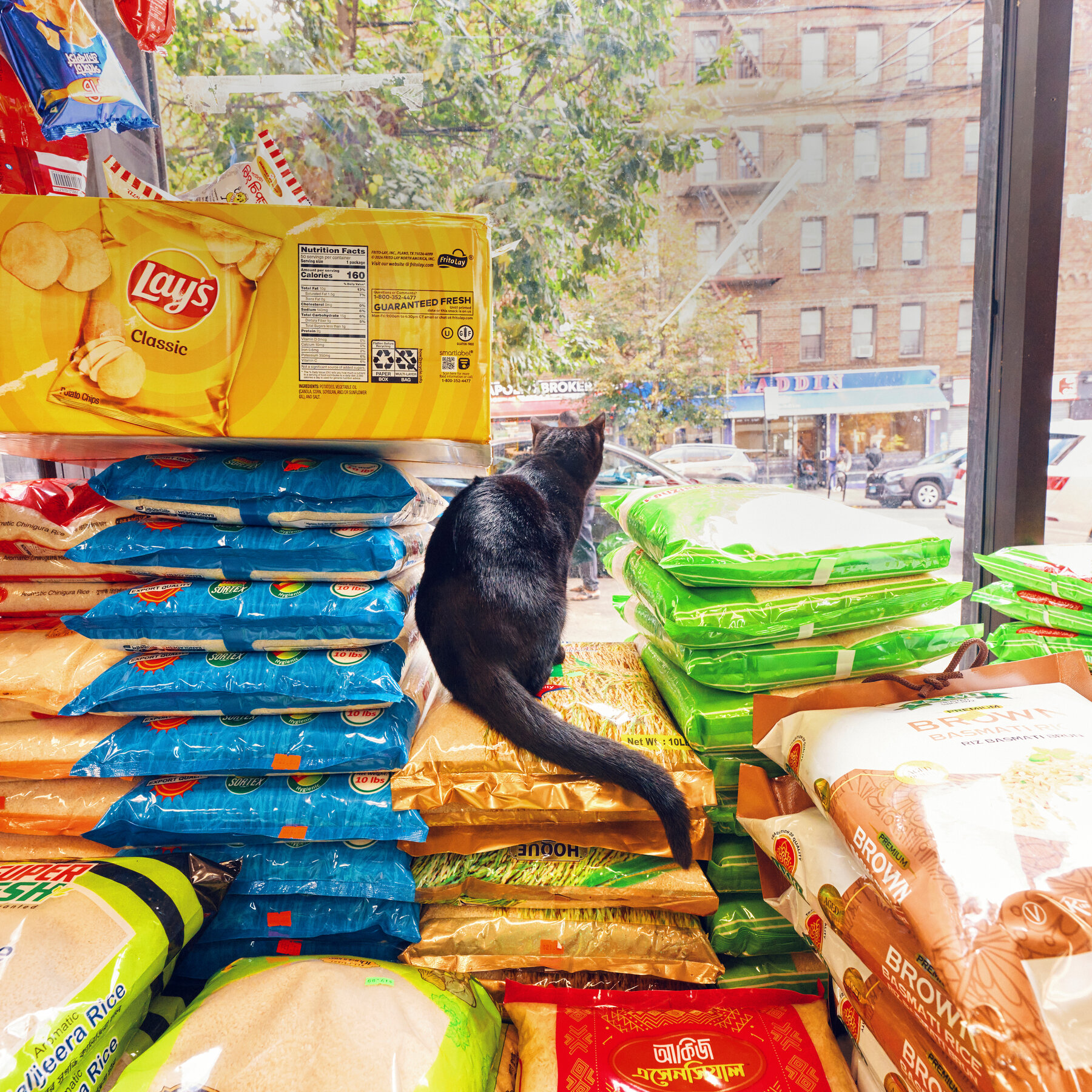 Trump’s Tariffs Hit Specialty Grocery Stores for Immigrant Communities