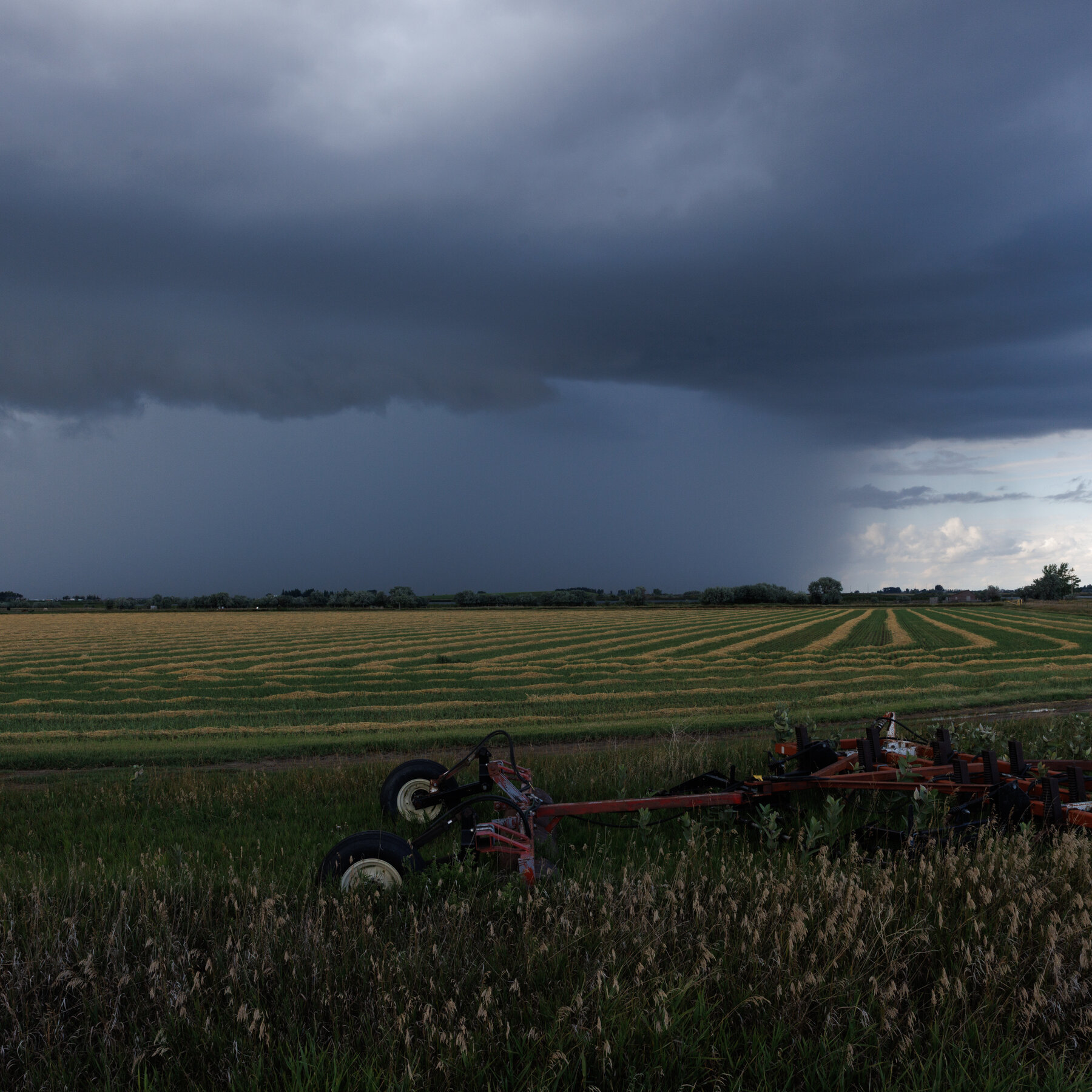 Canada Teeters on the Brink of Losing Measles Elimination Status