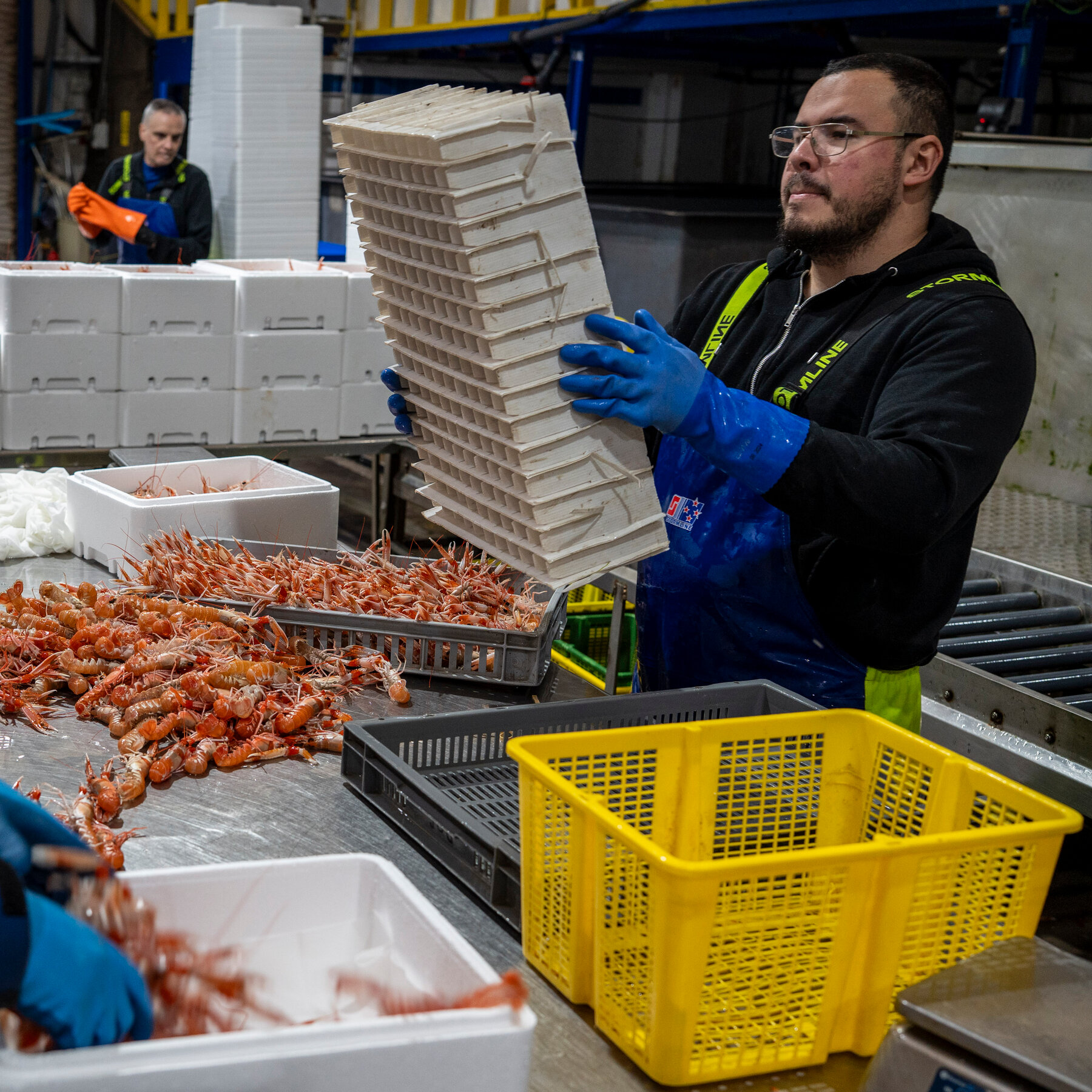 Rural Scotland Defies UK’s Anti-Immigration Stance by Courting Foreign Workers