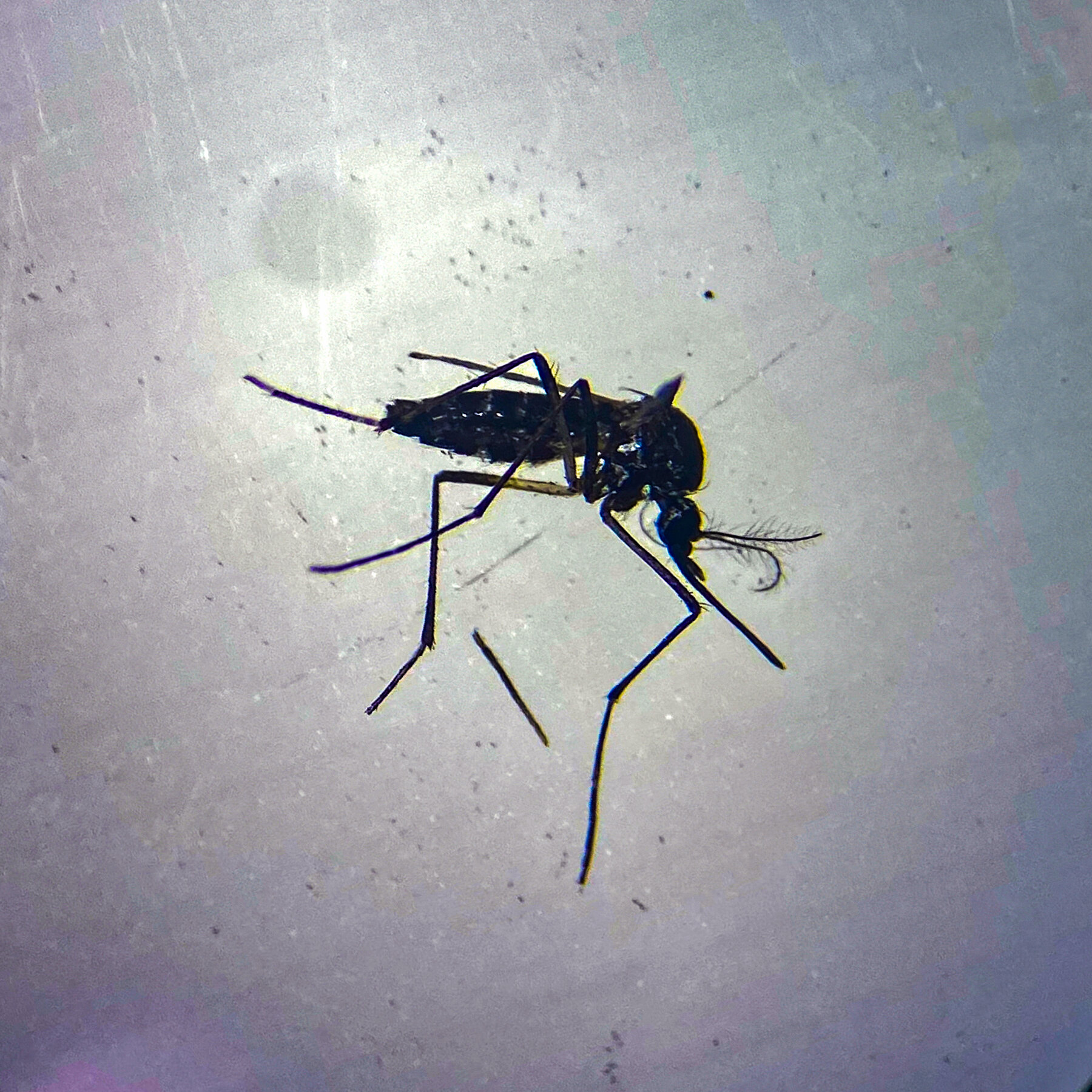 Fake Docs Flooding Science Journals with AI-Generated Research