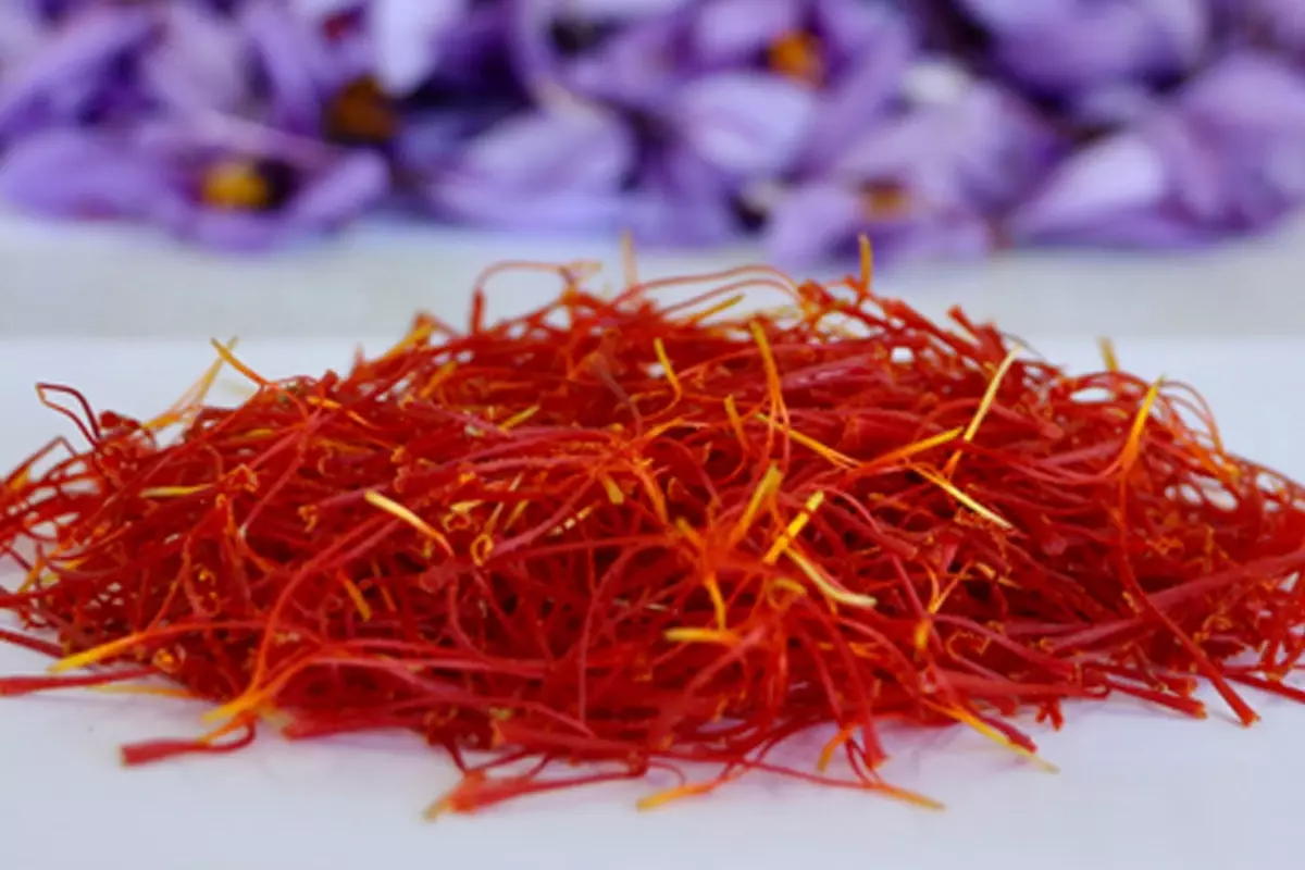 1 kilosuna araba alınıyor! Hasat çiftçiyi ihya etti