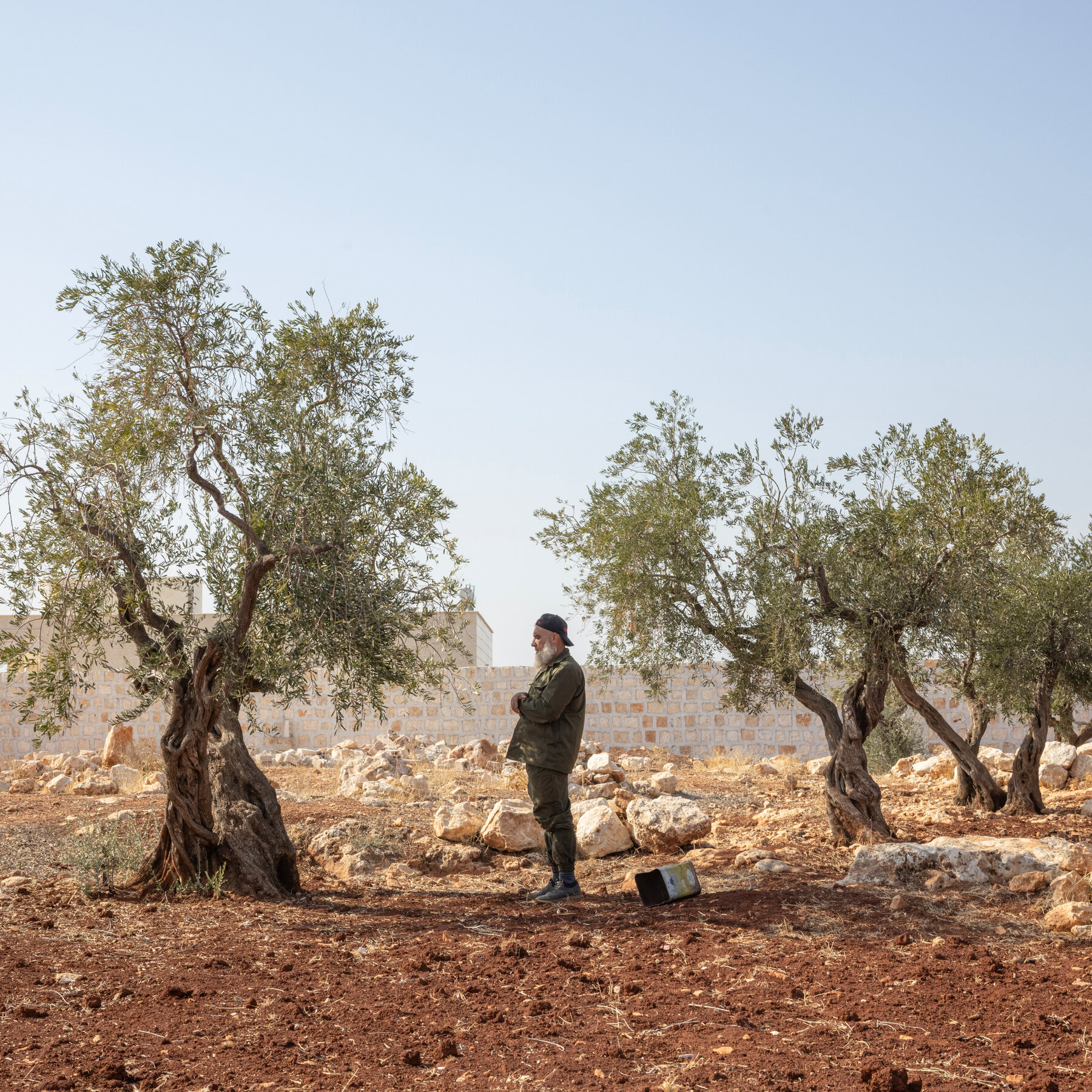 <h2>Trump to Host Syrian President Amid Ongoing Counter‑Terrorism Efforts</h2>