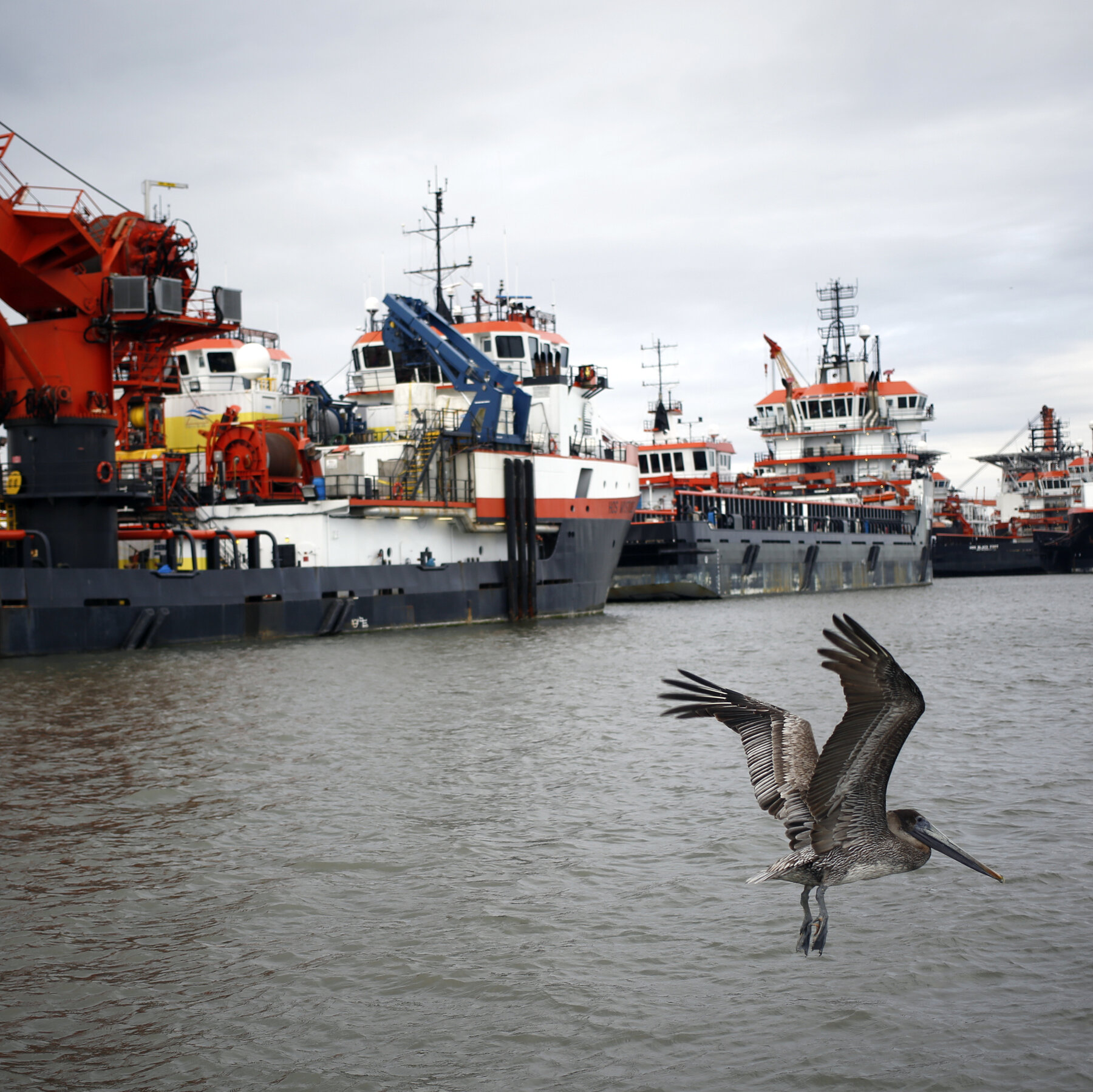 Trump Announces Plan to Open Over a Billion Acres of U.S. Waters to Oil and Gas Drilling