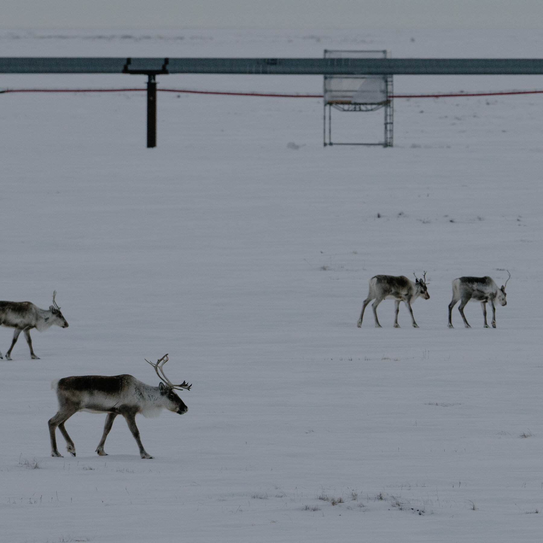Trump Administration Lifts Biden‑Era Ban on Alaska Drilling and Mining