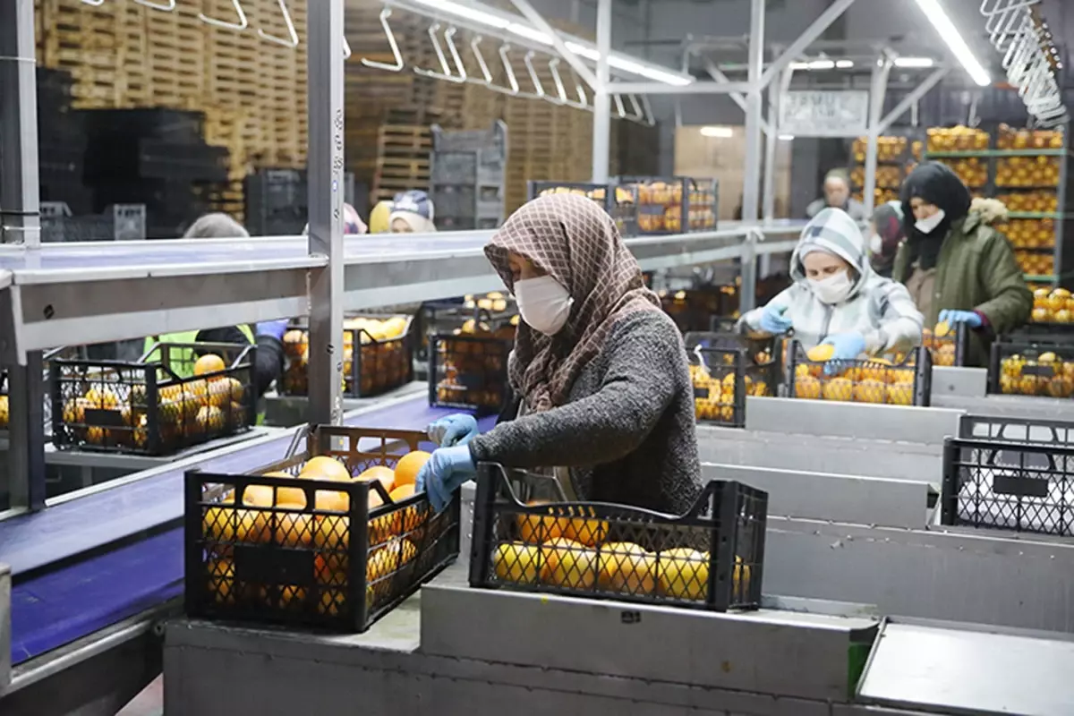 25 ülkeye ihracat yapıyordu! Türkiye’nin gıda devi iflasın eşiğinde