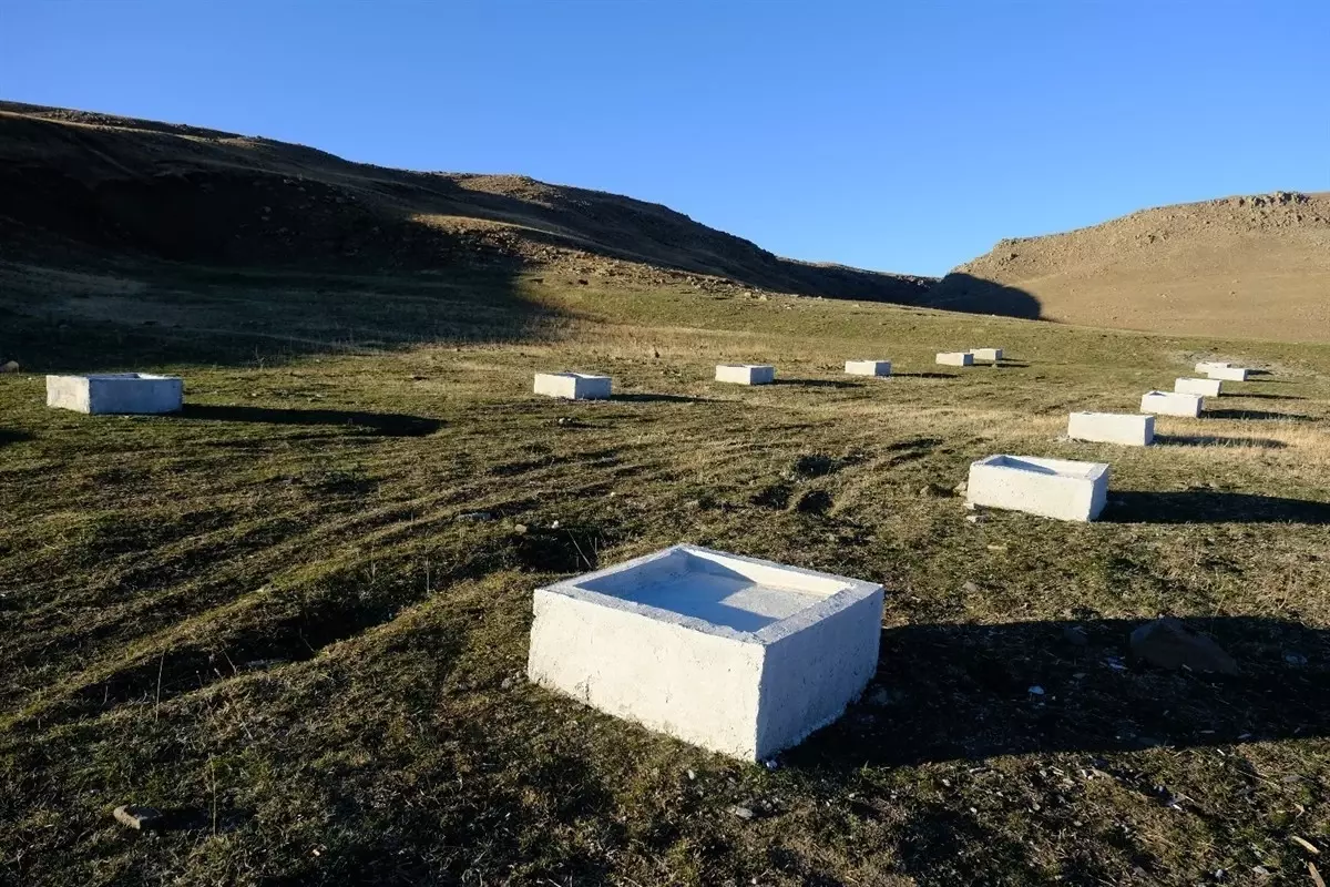 Ağrı’da Hayvancılığa Modern Dokunuş