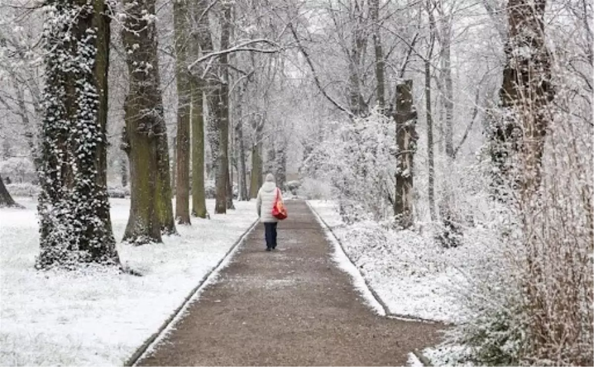 Almanya’da Şiddetli Kar ve Buzlanma Nedeniyle 3 Kişi Hayatını Kaybetti