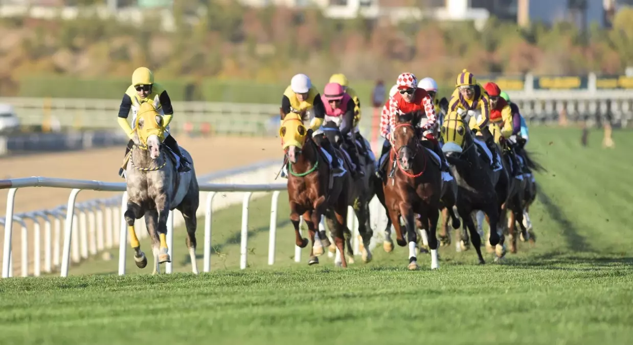 AT Yarışları Sezonu Muhteşem Bir Final Yaptı