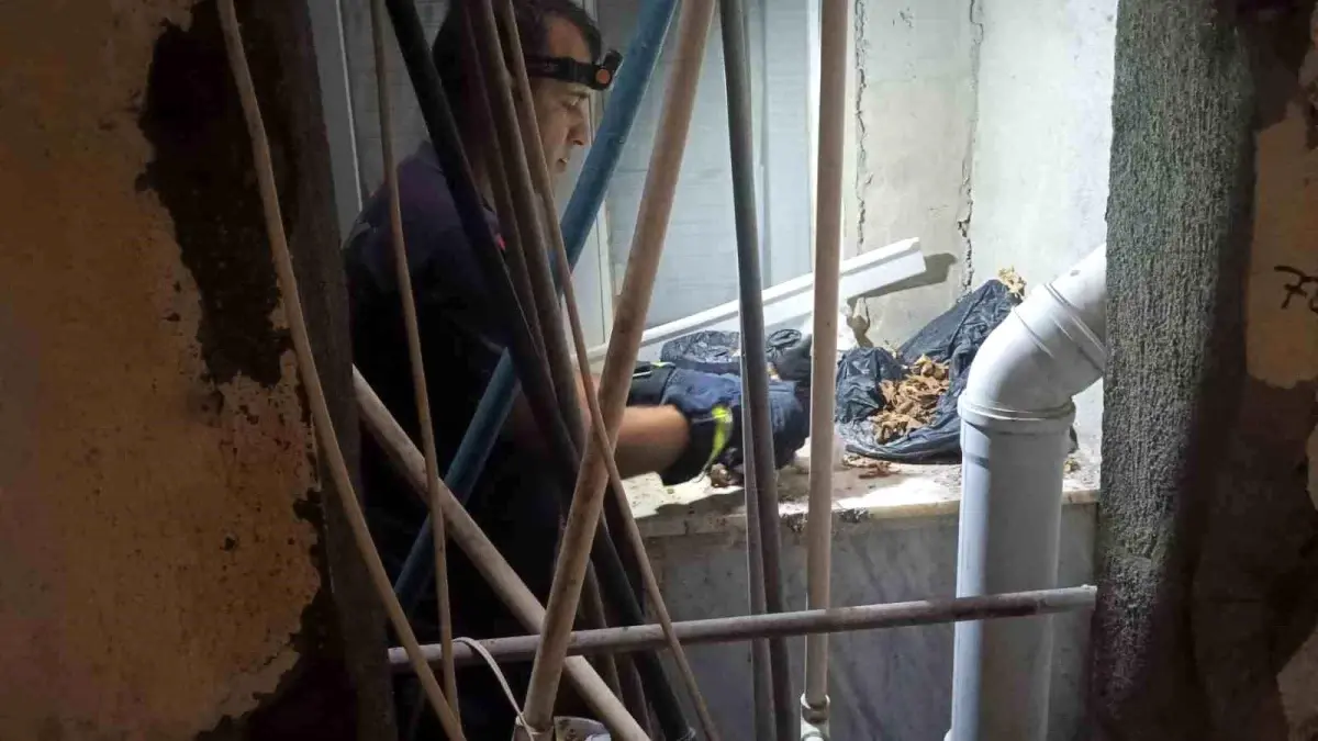 “Samandağ’da Yavru Kedi İtfaiye Tarafından Kurtarıldı”