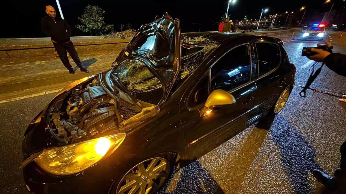 Rize Pazar’da Genç Yaya Trafik Kazasında Hayatını Kaybetti