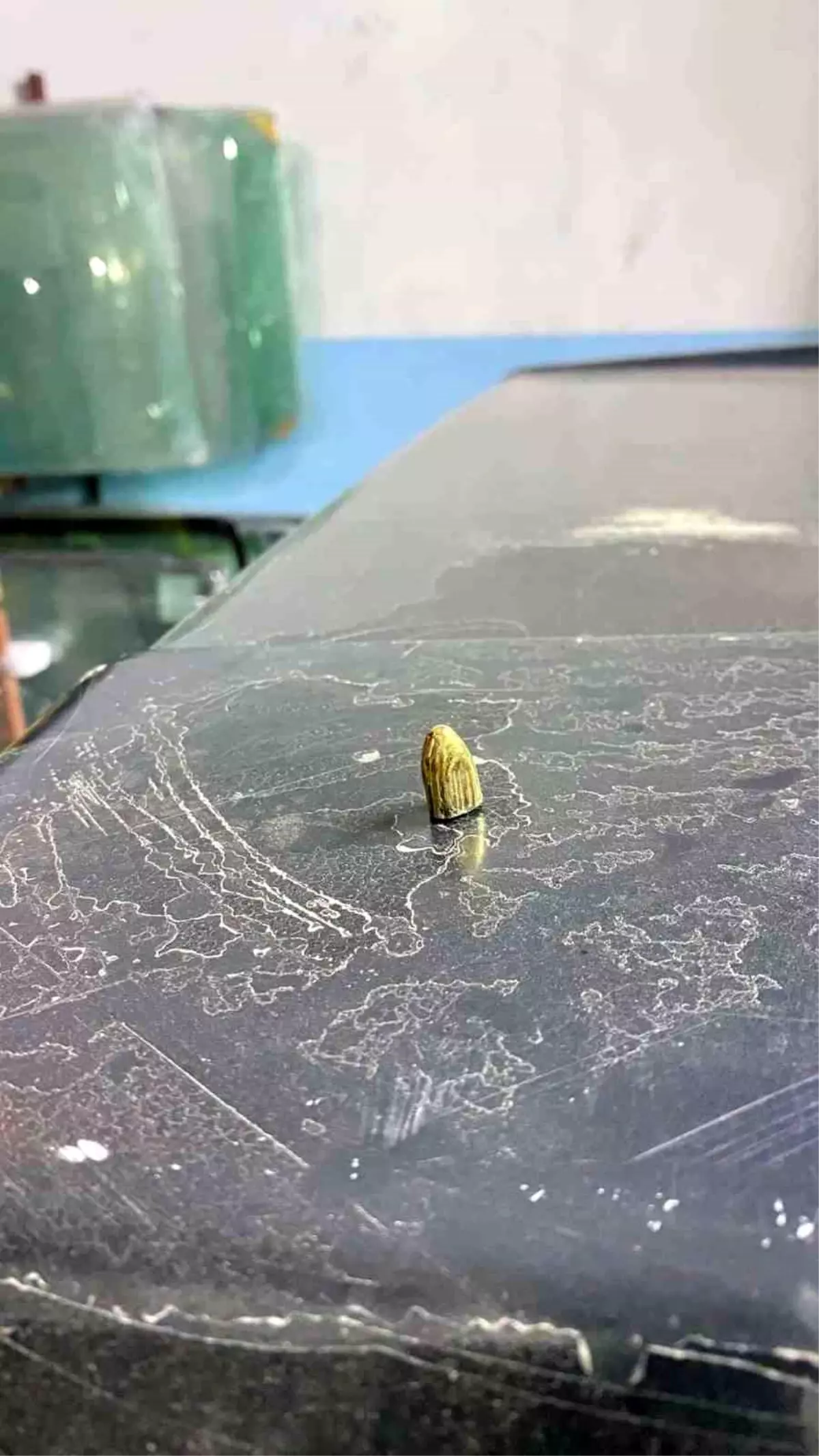 Maganda Kurşunu Hopa’da Otomobile Isabet Etti