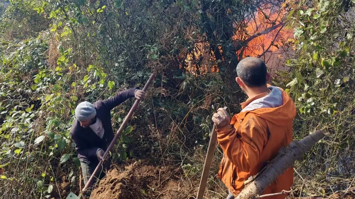 Artvin Hopa’da Orman Yangını: 5 Hektar Alanı Sarsıyor