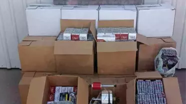 Aydın’da Kaçak Tütün Operasyonu