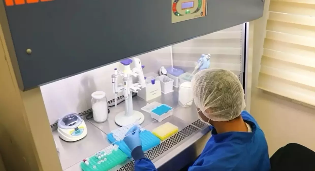 Eski Cinayetler Aydınlatıldı: İçişleri Bakanı Yerlikaya’dan Çarpıcı Açıklamalar