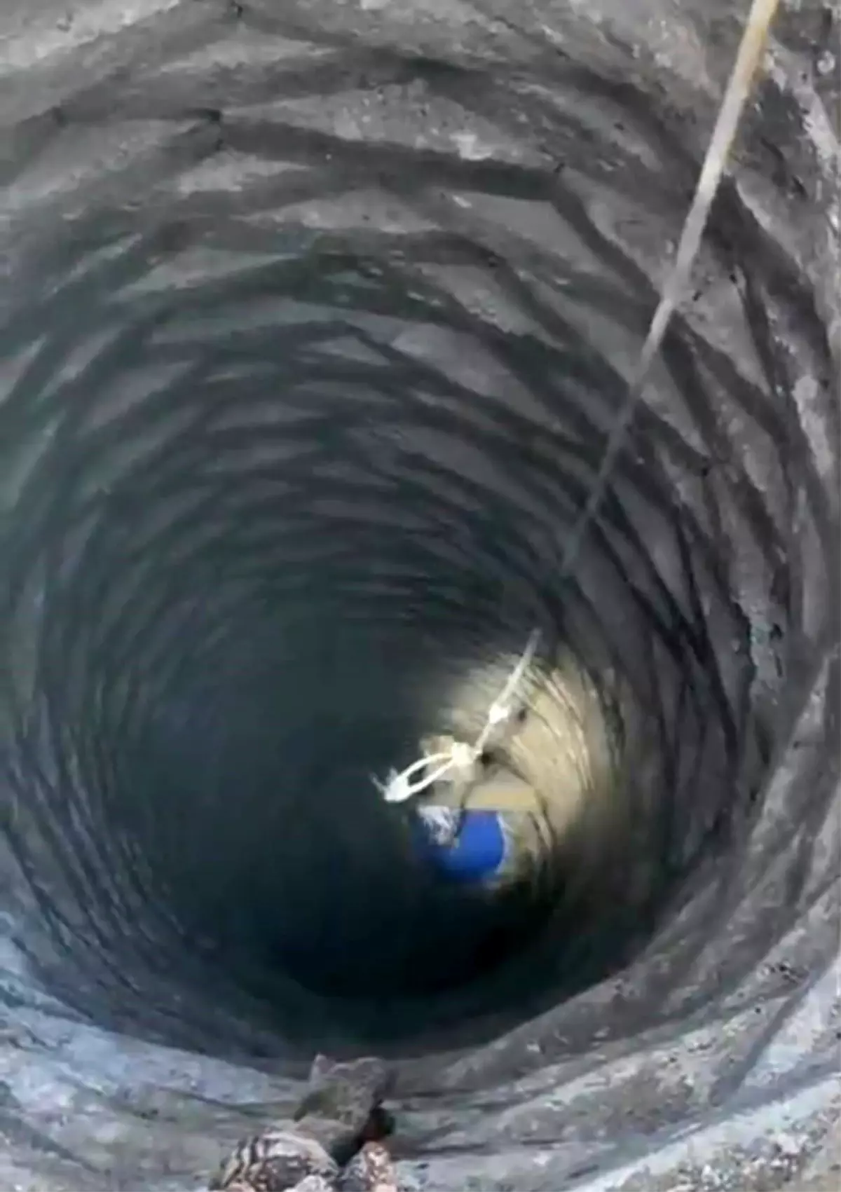 Batman’da Su Kuyusuna Düşen Horoz Büyük Çabalar Sonrası Kurtarıldı