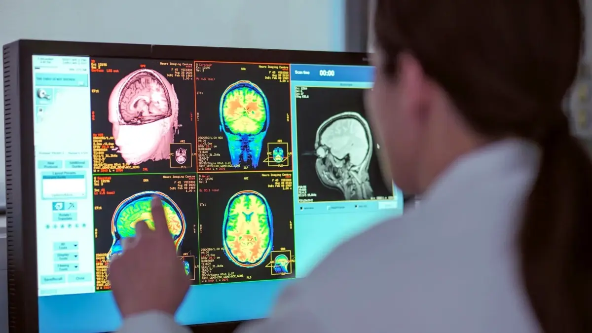 Beyin Ömrü Boyunca Beş Evre Geçiriyor