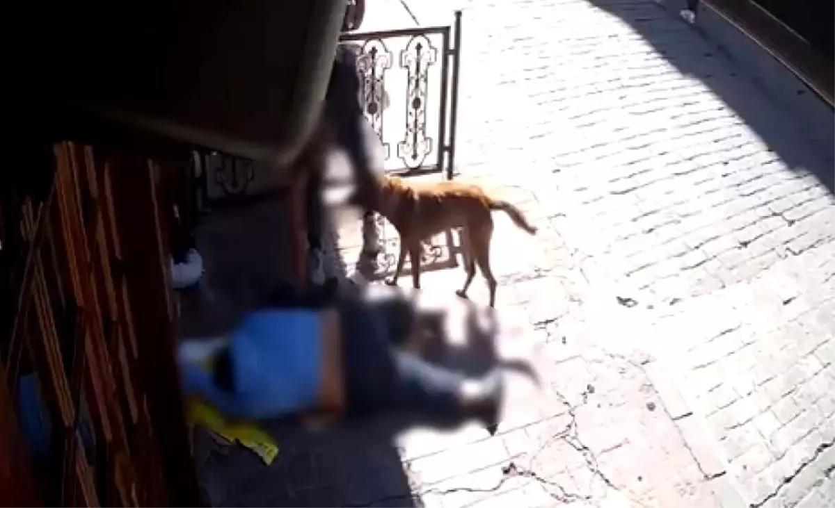 Bayılan Adamın Eşyasını Çalan 2 Hırsız Yakalandı