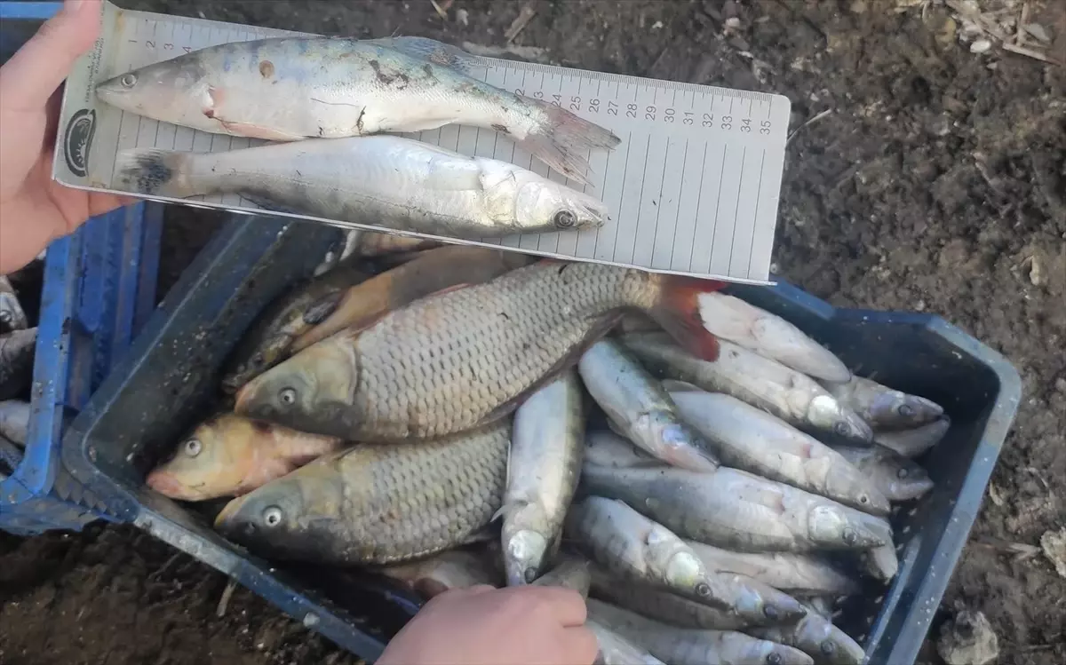 Beyşehir’de Özel Gereksinimliler İçin Spor Etkinliği ve Sağlık Kontrolleri