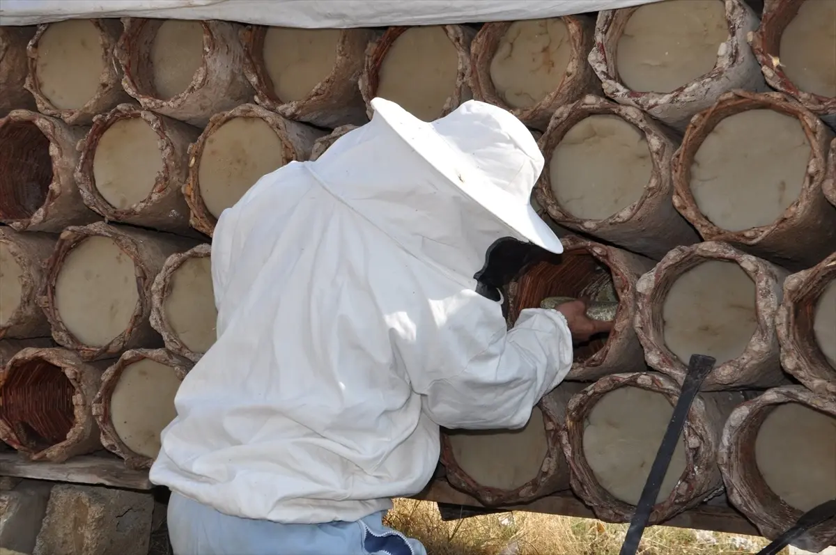 Hizan’da Kara Kovan Balı Hasadı Devam Ediyor