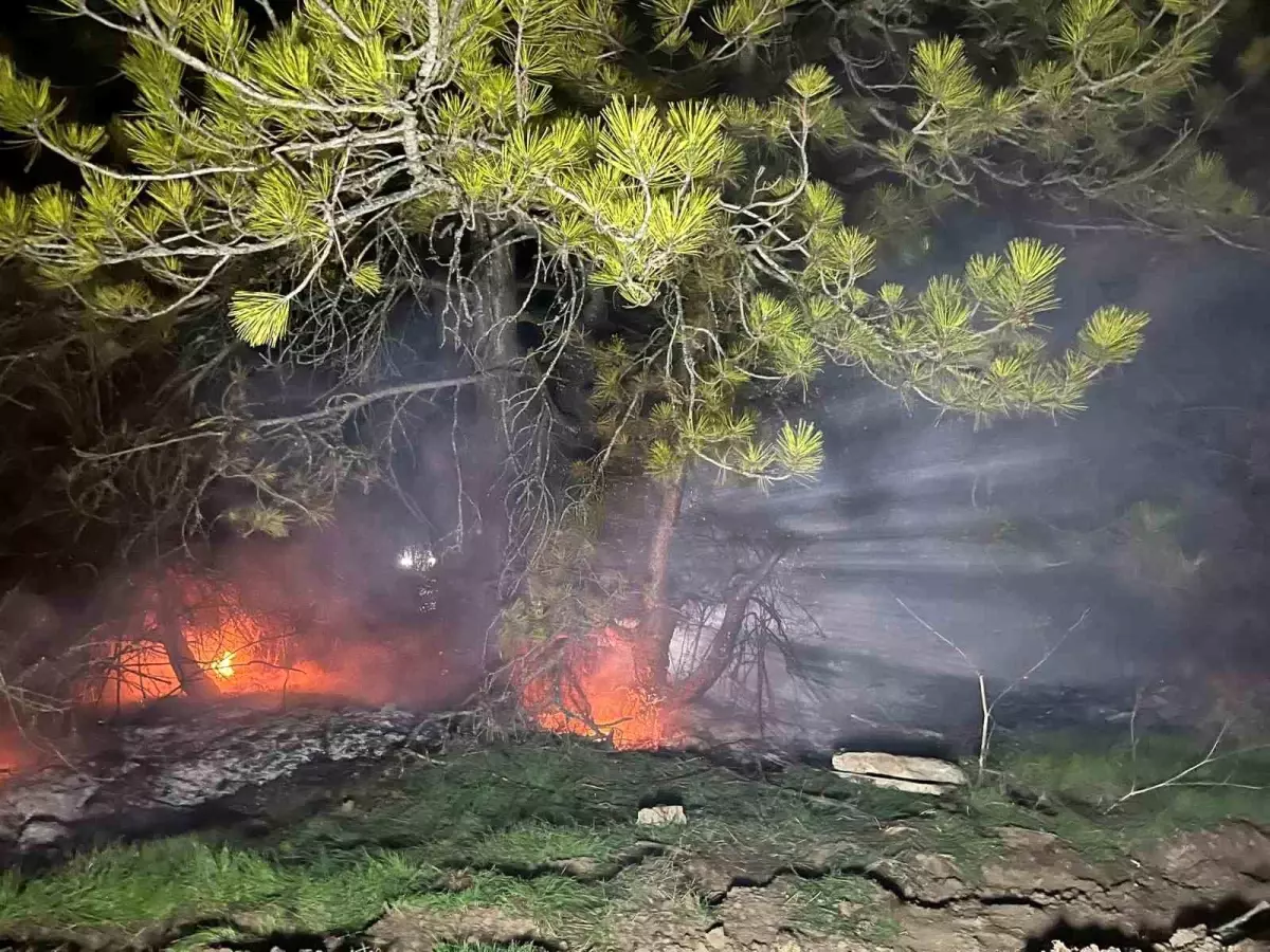 Mudurnu’da Orman Yangını Kontrol Altında