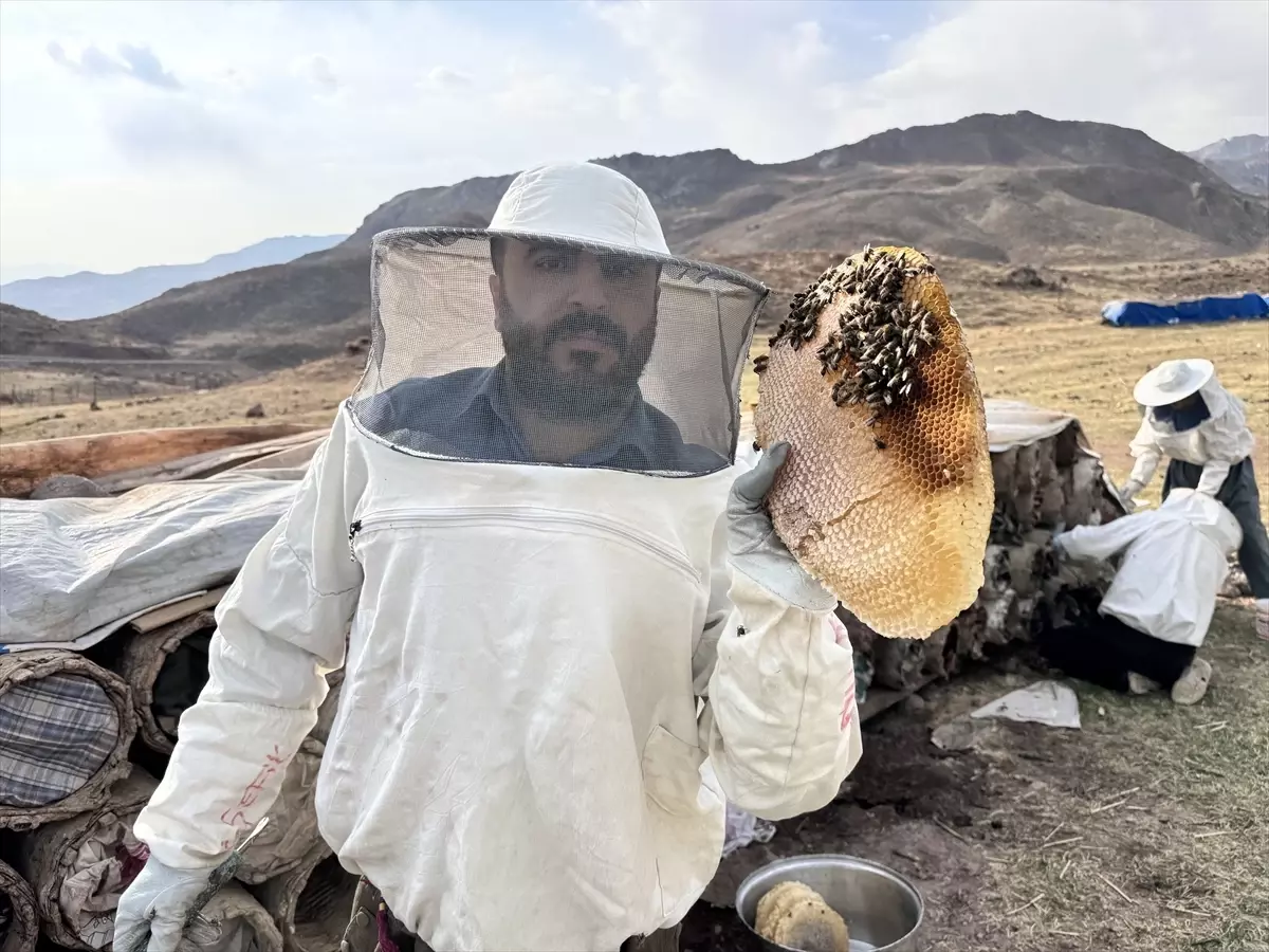 Çemikare Yaylası’nda Son Bal Hasadı: Asfaltlı Yol Arıcıları Mutlu Ettı