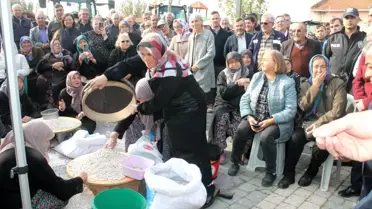 Manyas’ta 1. Kazak Fasulyesi Hasat Festivali Düzenlendi