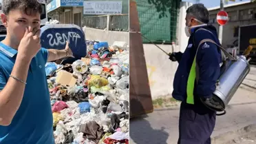 Çöp krizi istilaya dönüştü, şehir dört koldan ilaçlanıyor