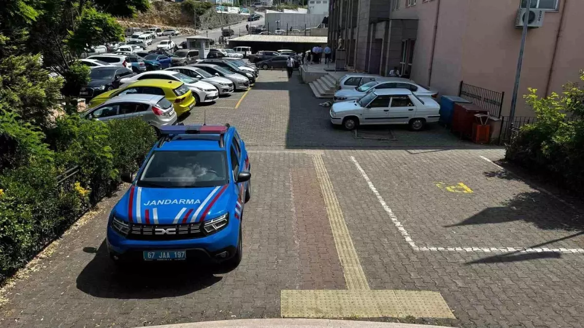 Zonguldak’ta Bir Tonluk Fındık Hırsızlığı Deşifre Oldu, Şüpheliler Jandarma Tarafından Yakalandı