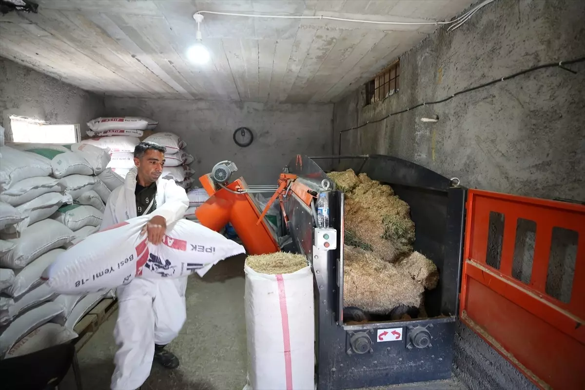 Eski Hükümlü Rıdvan Aktaş’ın Devlet Desteğiyle Büyüyen Besi Çiftliği: 10’dan 56’ya