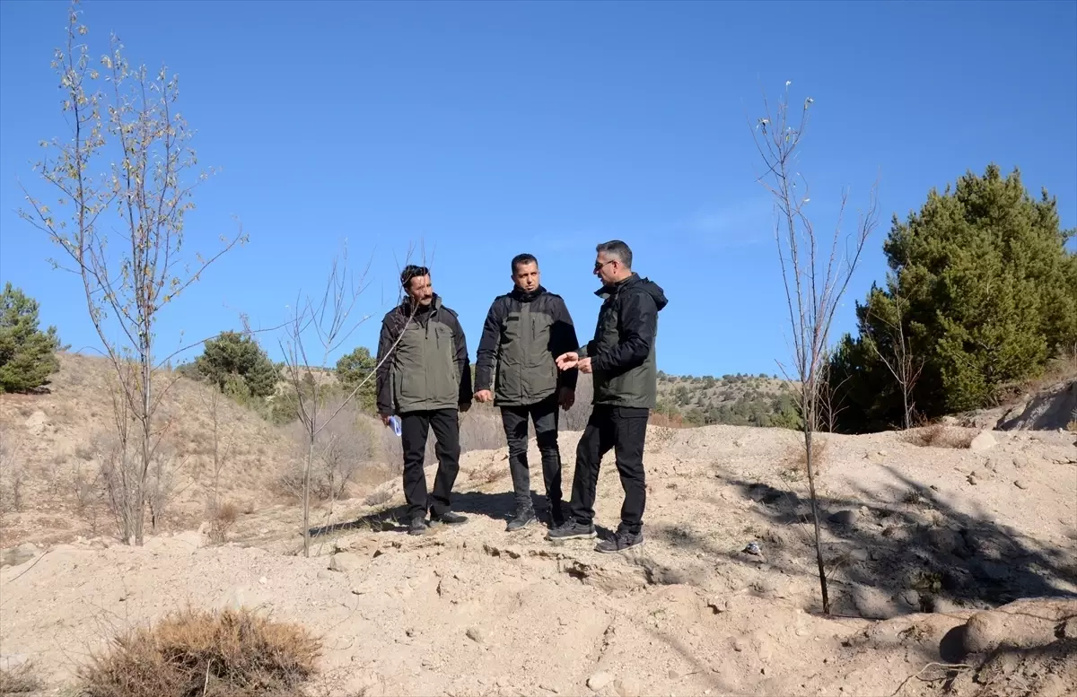 Erzurum’da 39 Bal Ormanı Kuruldu