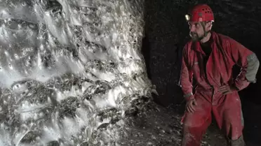 Dünyanın en büyük örümcek ağı keşfedildi