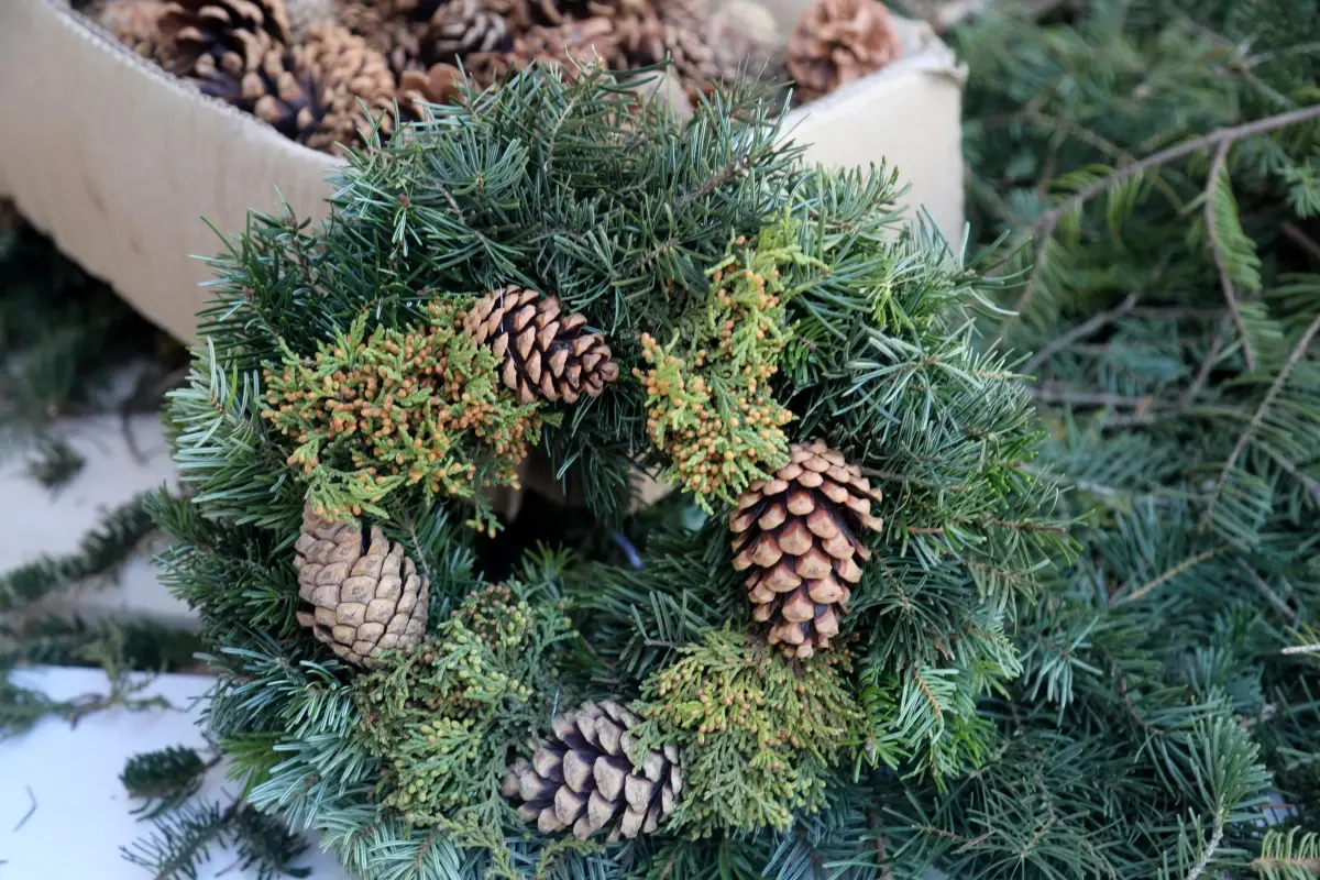 Antalya’nın Kadınları Orman Atıklarını 20 Ülkeye İhrac Edilen Noel Çelenklerine Dönüştürüyor