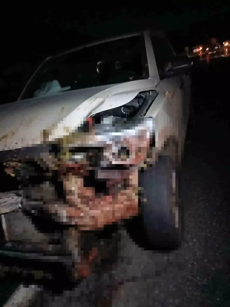 “Kamyonetin Sürüyü Dövdüğü Trajik Kaza Elazığ’da”