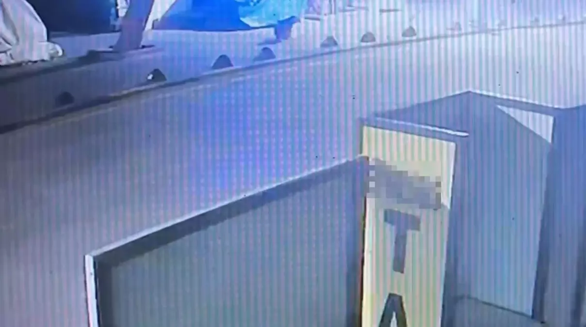 Kuşadası’nda Emekli Astsubay Sokak Köpeğini Tabancayla Vurdu